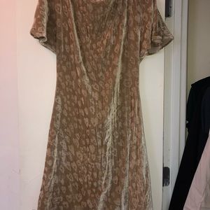 Tomas Maier Designer high end dress.